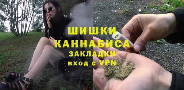шишки Мегион