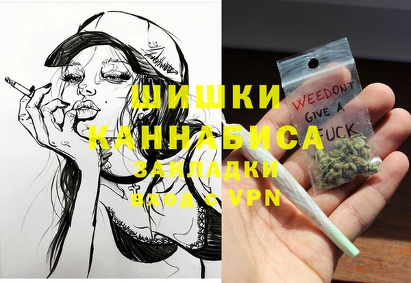 шишки Мегион