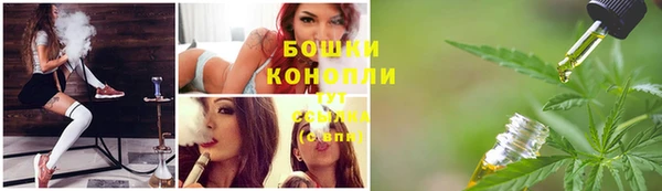 шишки Мегион