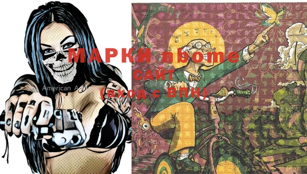 шишки Мегион