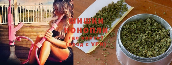 шишки Мегион