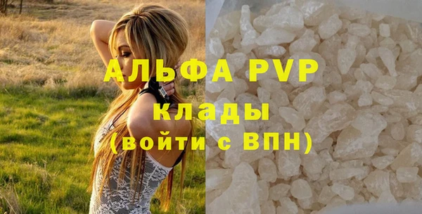 шишки Мегион