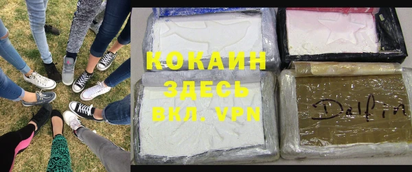 шишки Мегион