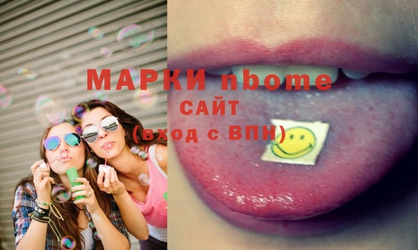 шишки Мегион