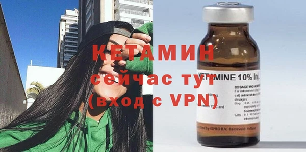 шишки Мегион