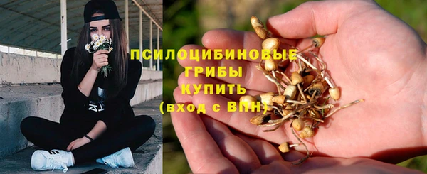 герыч Медвежьегорск
