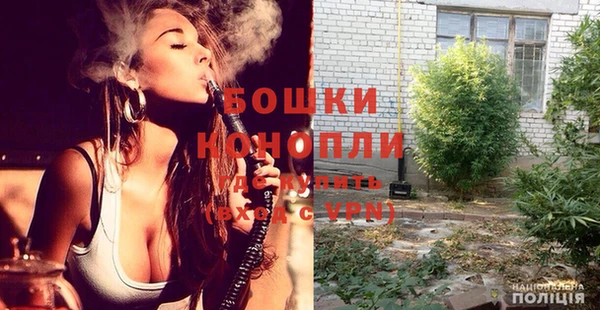 шишки Мегион