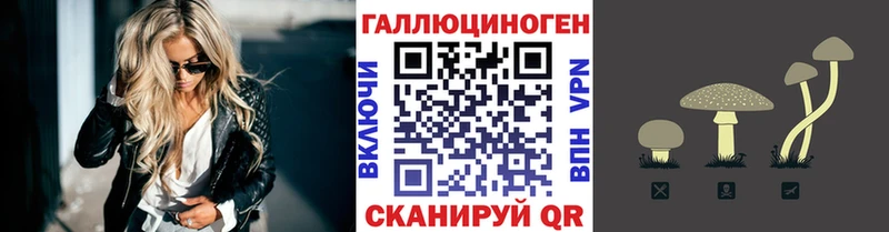 мега ССЫЛКА  Бердск  Галлюциногенные грибы GOLDEN TEACHER 