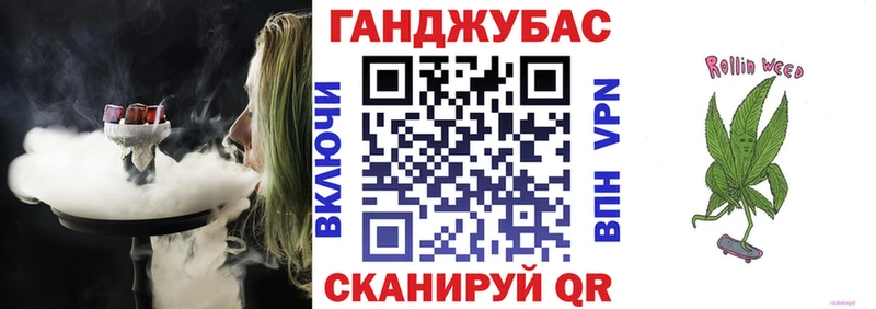 OMG как войти  Бердск  Бошки марихуана сатива 